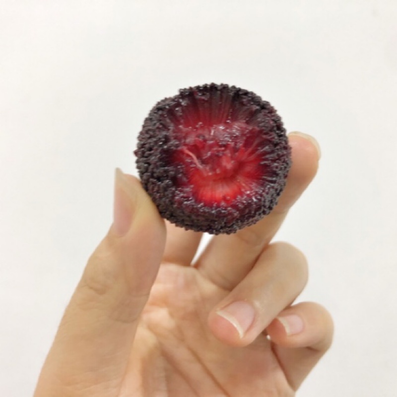 我的婆婆当家做主带孩