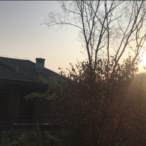 心有千语竟无言