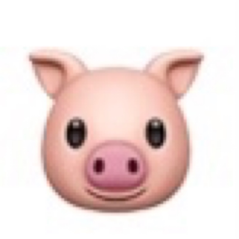 住在月亮里看星星