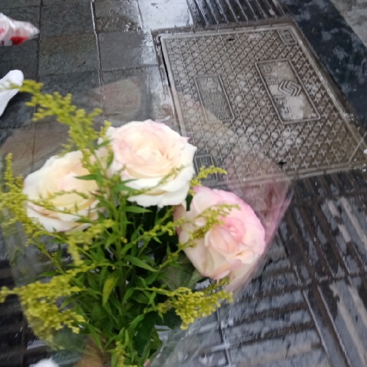 小王只想上大学