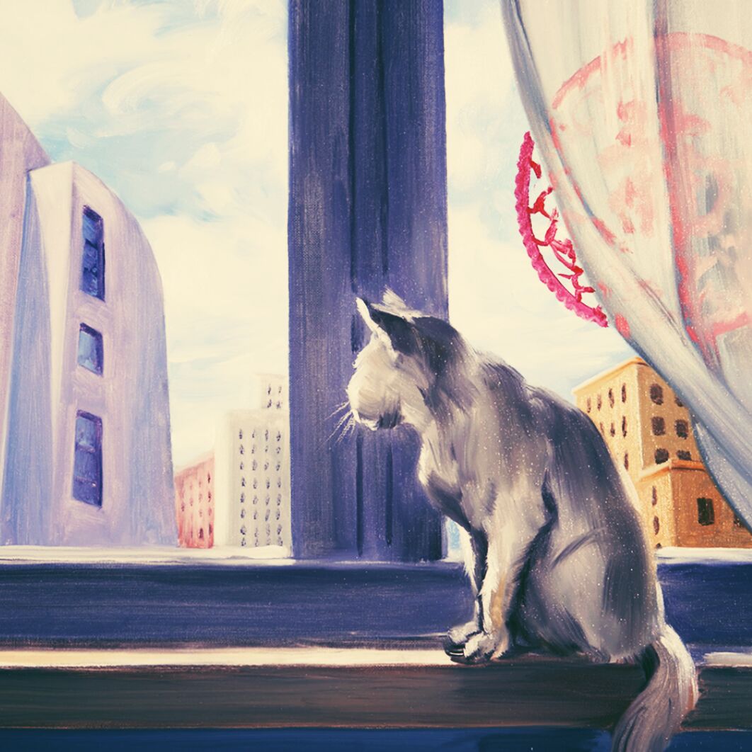 时间煮雨我煮咸鱼