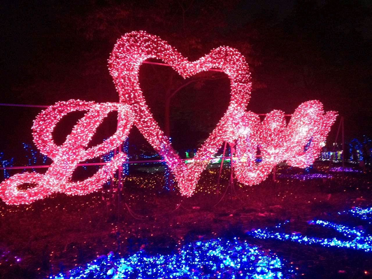 阳光下一路同行