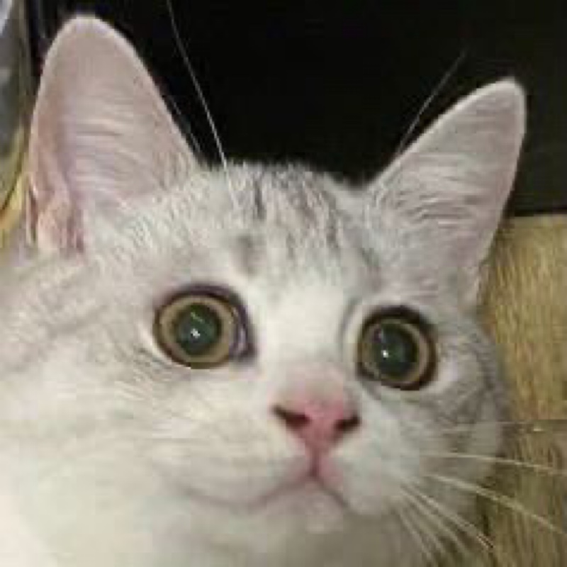 土豆你个马铃薯