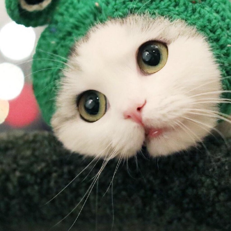 最美的心！情！