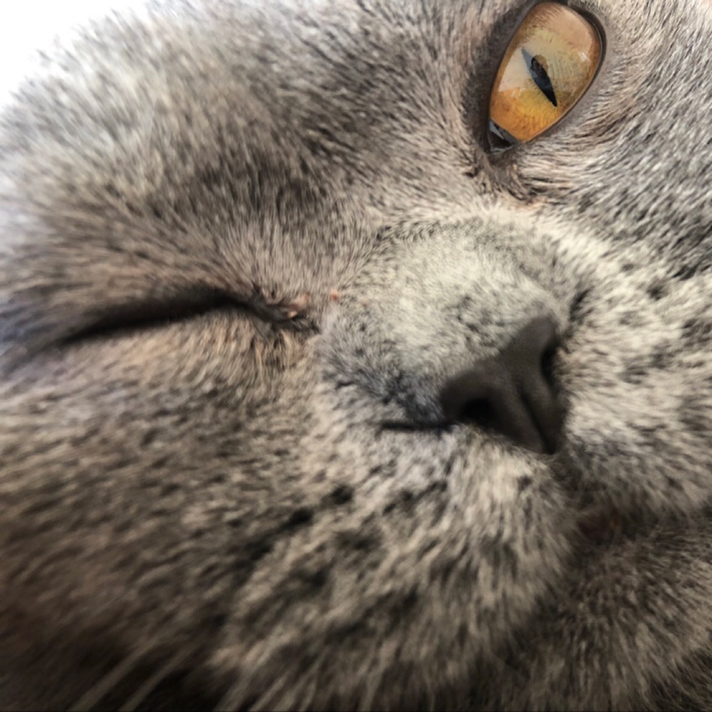 爱吃京酱茄条的美甲师