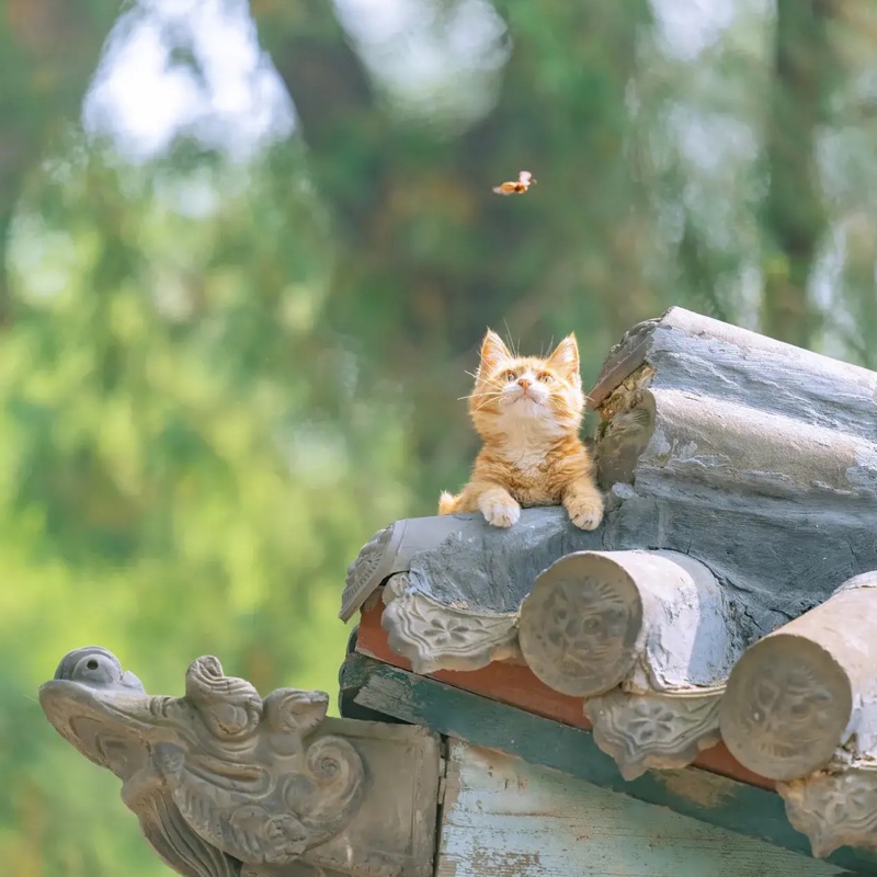 双城，冷暖自知