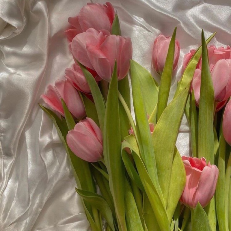 Wendy今天喝奶茶了嘛