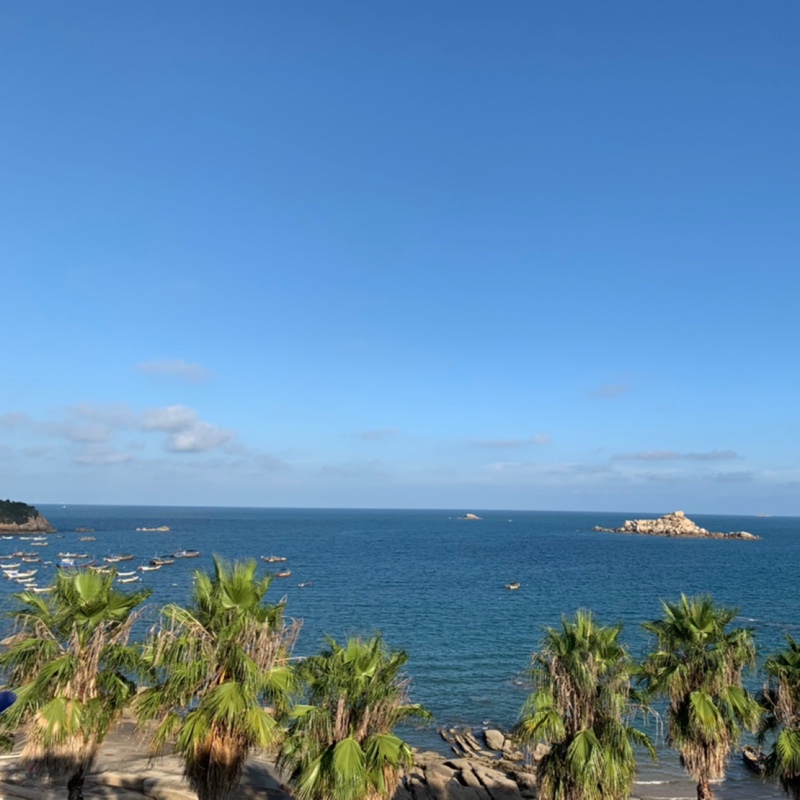 暴富de气泡水火工