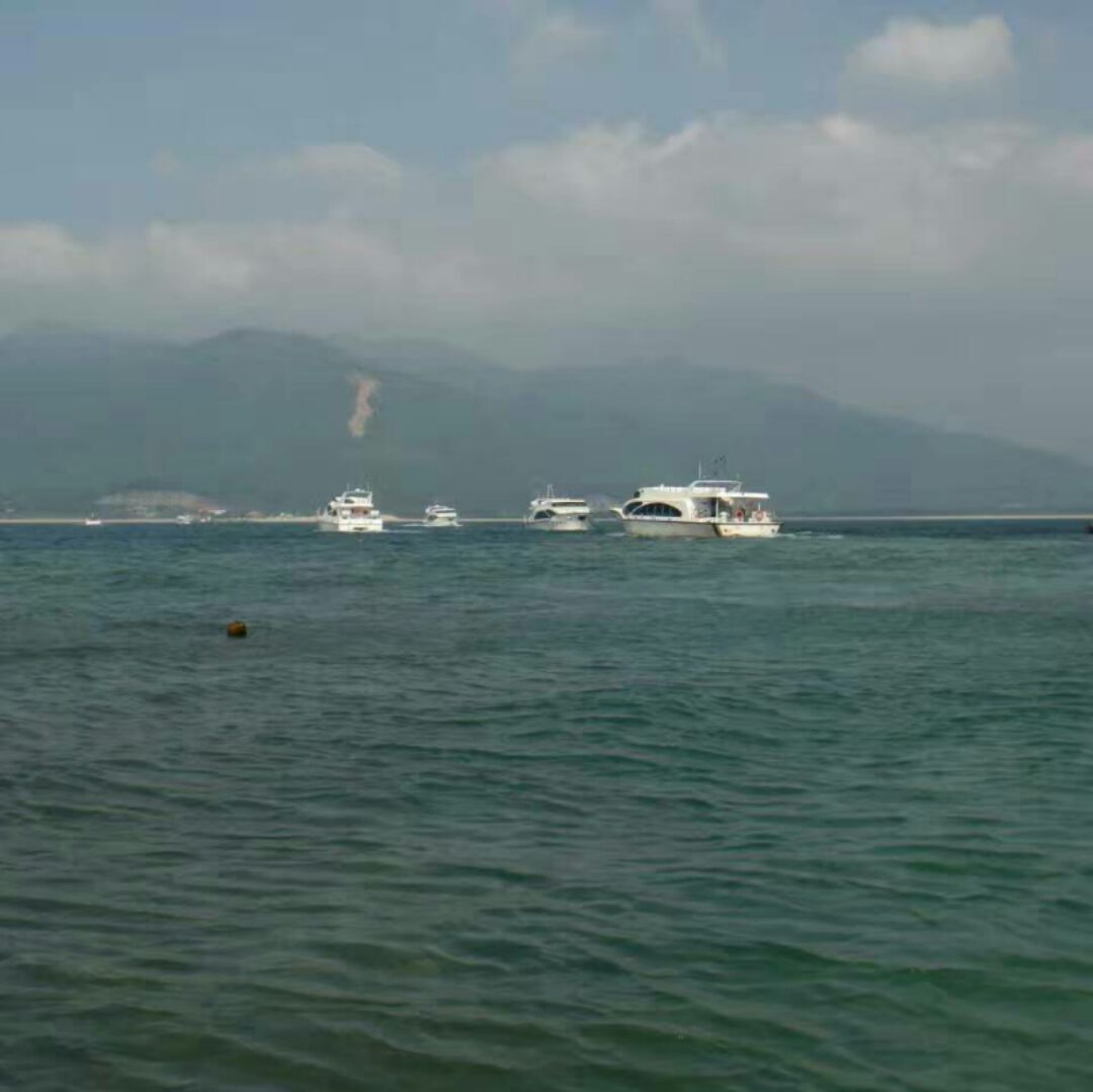 大风起兮风清扬666