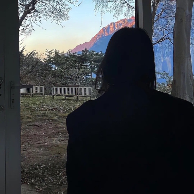 胖丁想吃布丁了