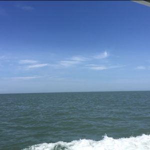 木秀于林！风必摧之！