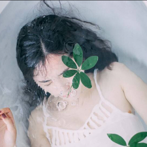 灰白的亨秋海棠