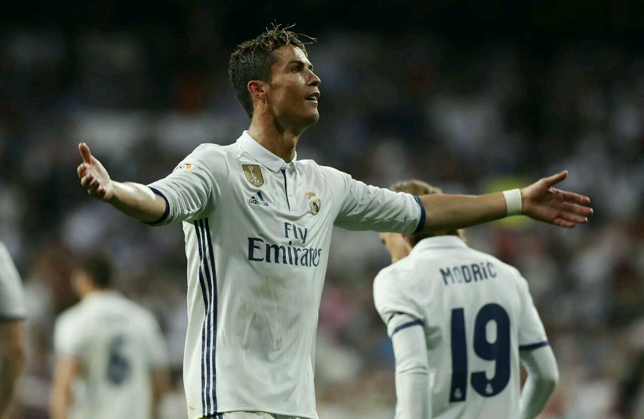 无处安放的莫啊