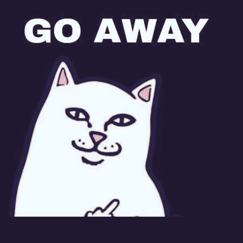 果仁乌贼超爱玩