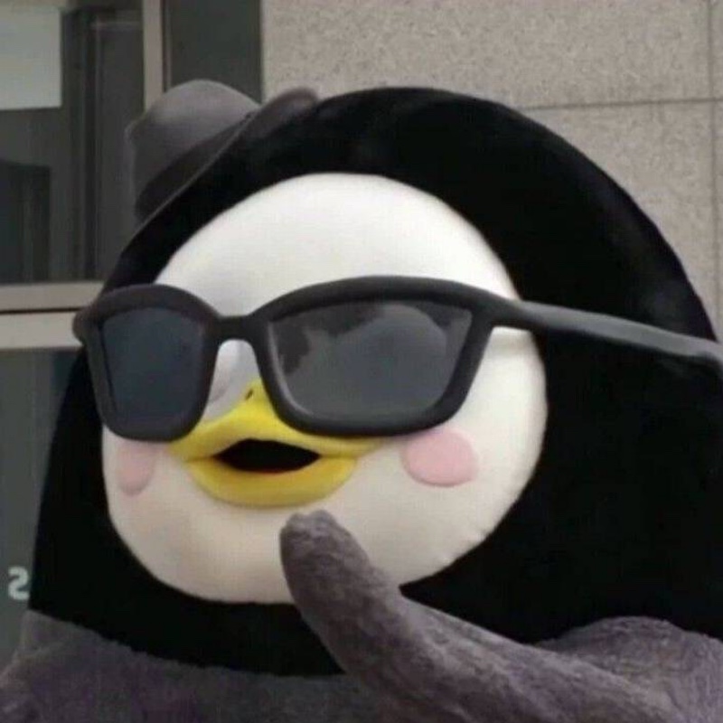 博博最爱粉红色