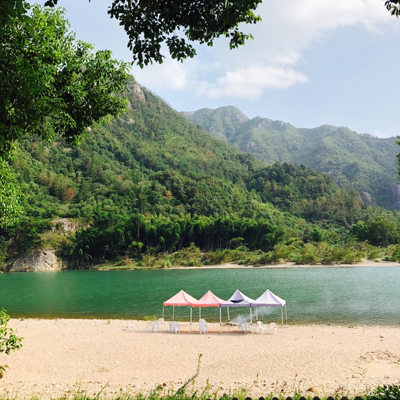 爱剁手心晴有勇