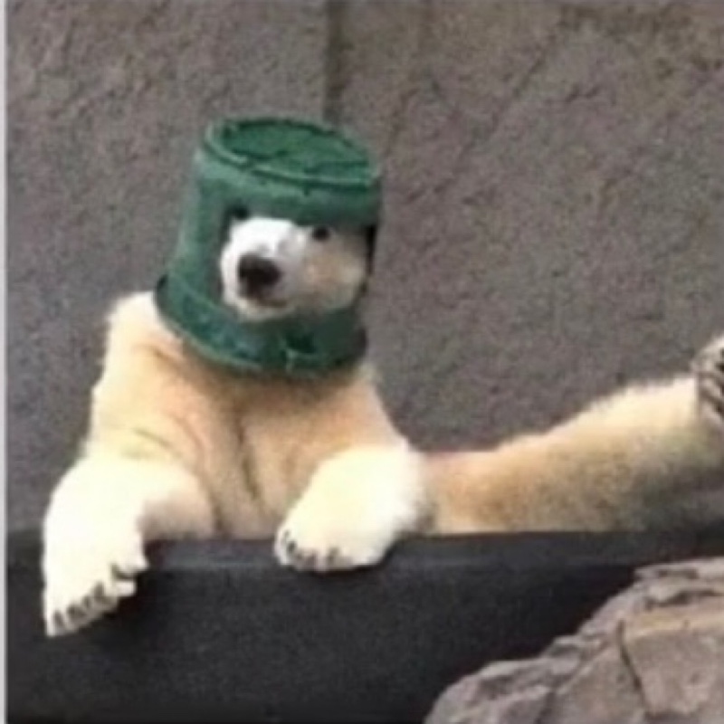 不想取名字的945