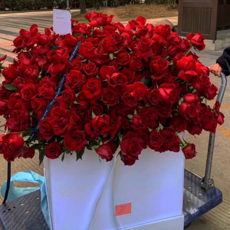 迪士尼逃难公主8