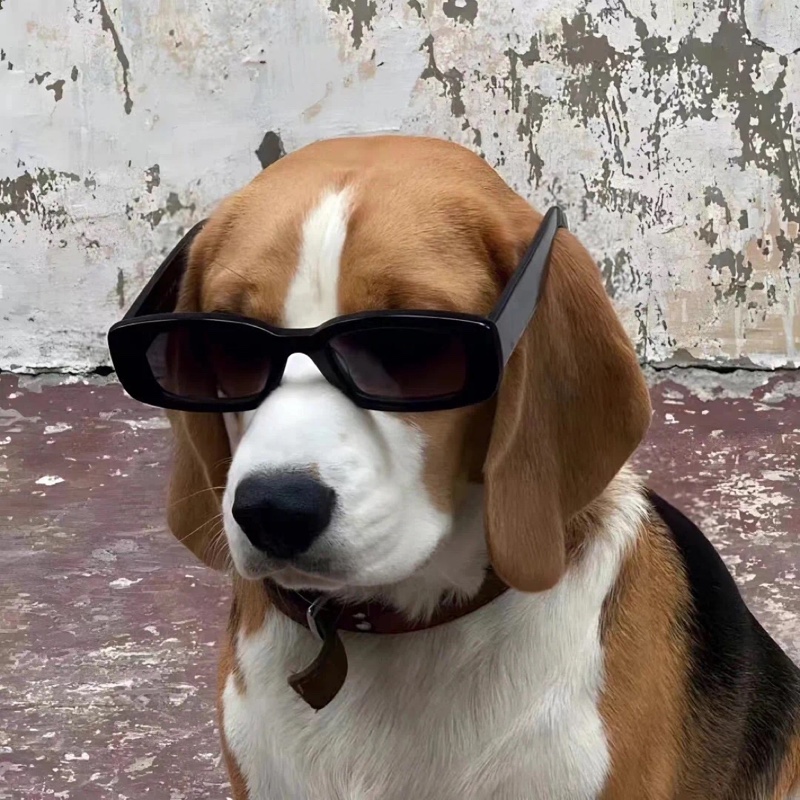 愛与自动手记人偶