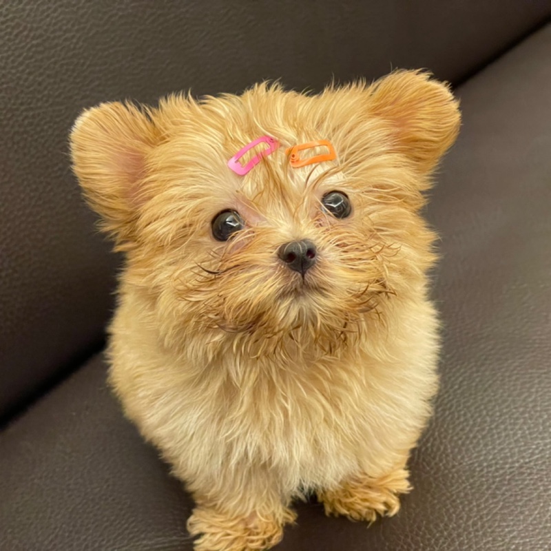 爱吃暖心蛋糕的Demi