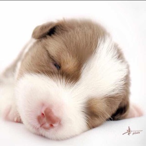 抱着西瓜吃夏天@@