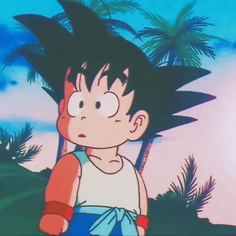 真的不能再买了