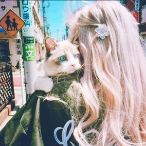 猫忘了鱼尾纱^_^