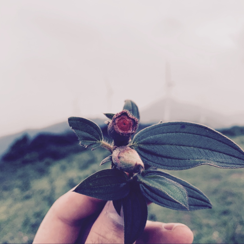 三亿女人的梦想丶