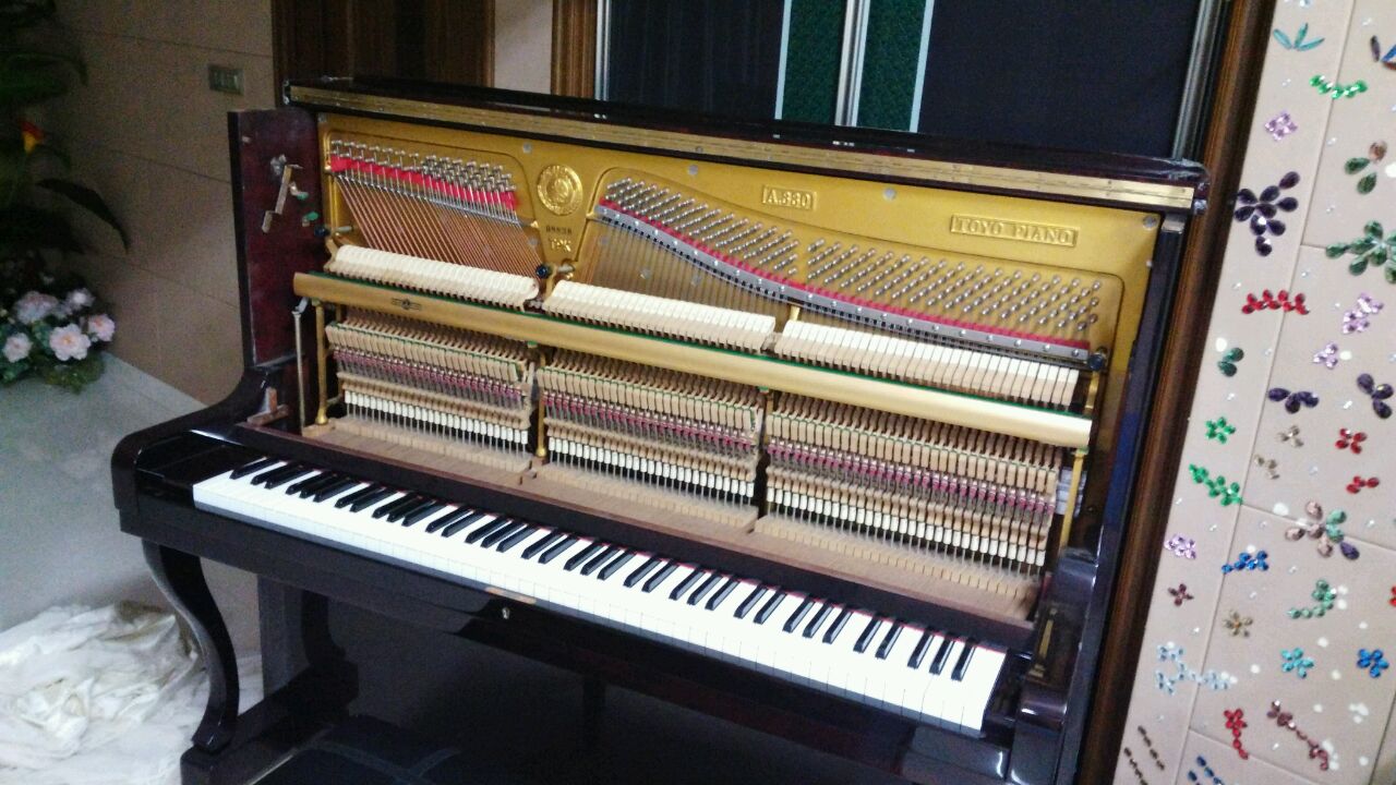 温州高级钢琴调律师