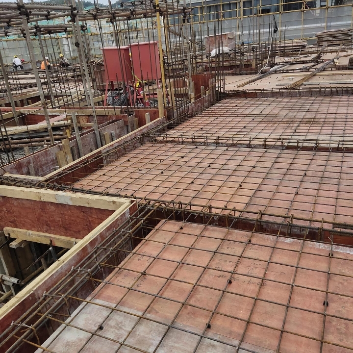 爱吃三冬火腿的萝卜丝