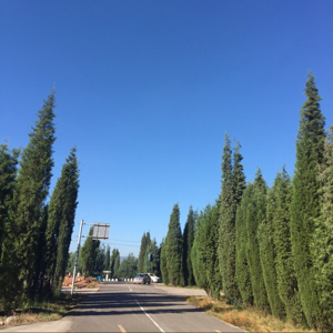 .我是一名真实买家