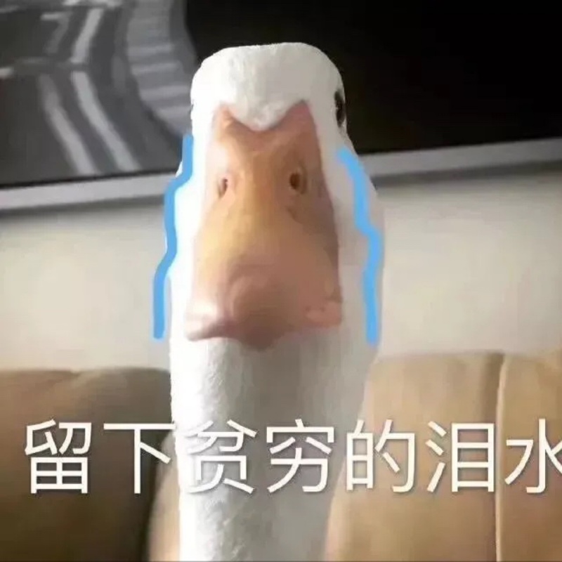 cc不吃饭