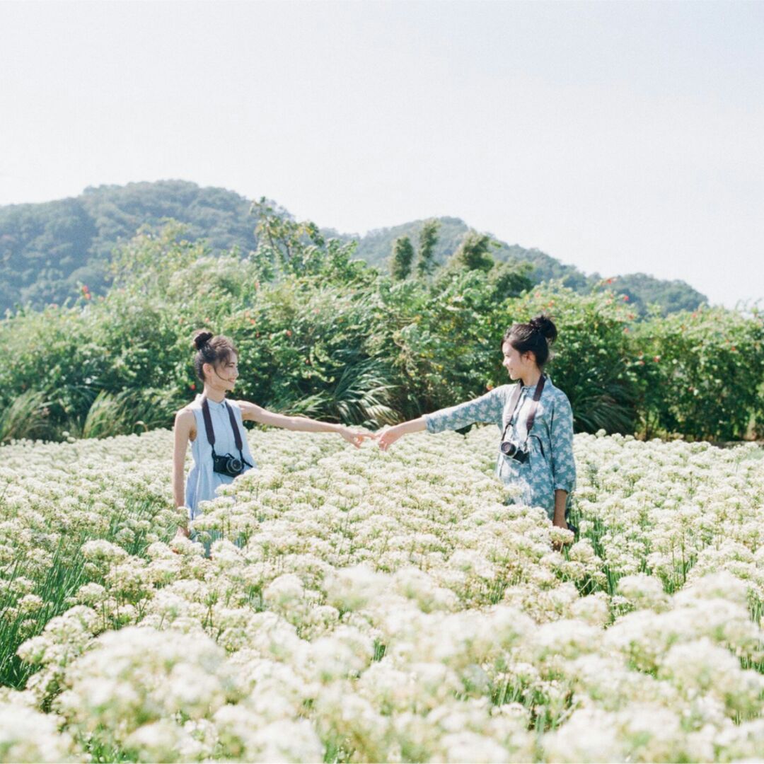 秘密的花语