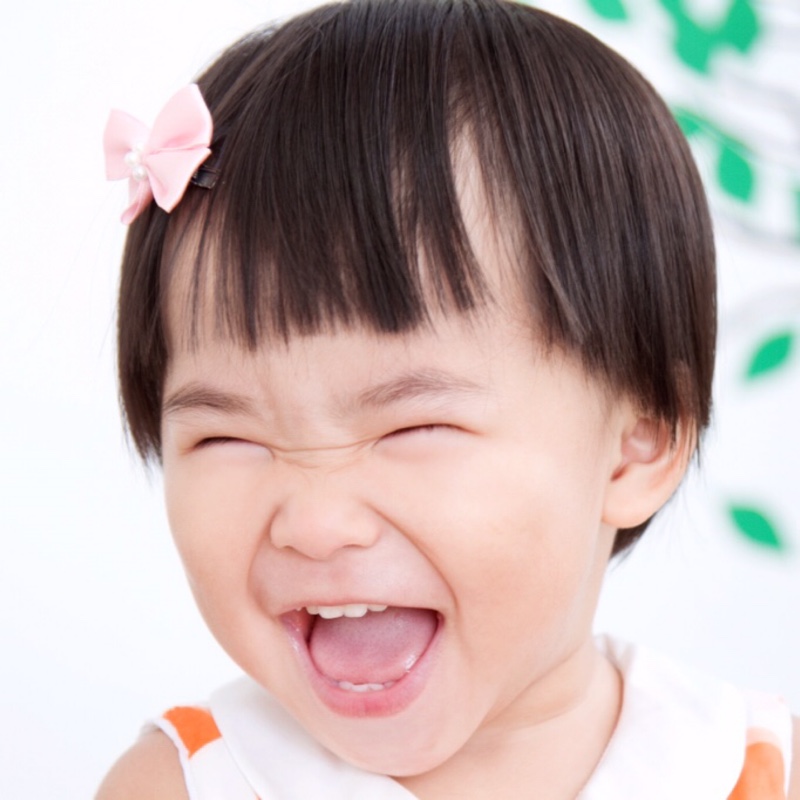 蝶迷香还是迷迭香