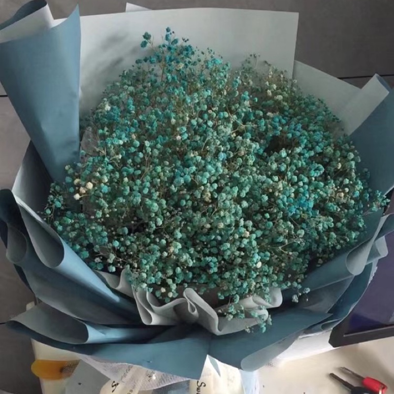 爱吃太妃奶糖的肚肚