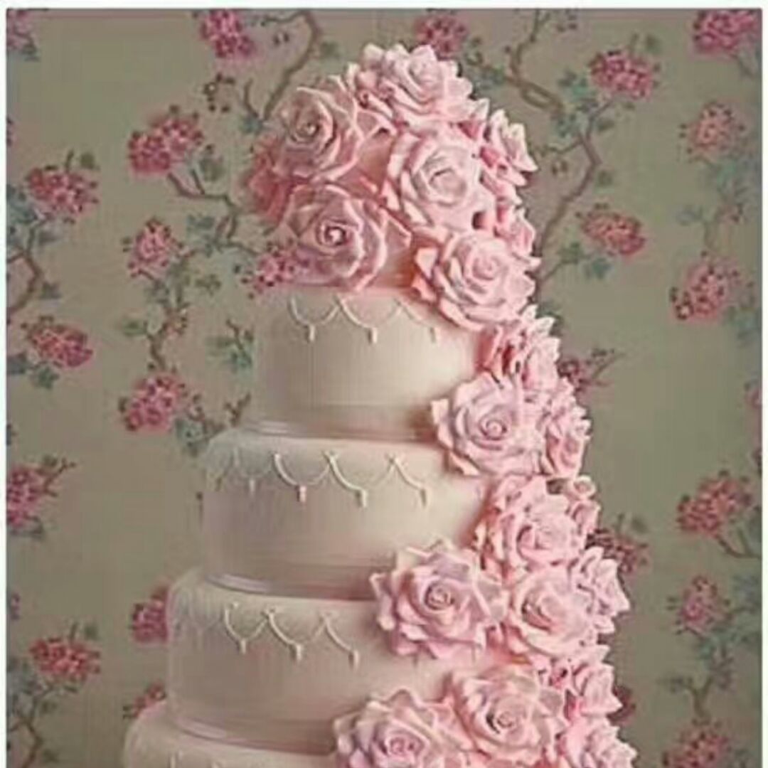 爱吃干炸土豆的小南