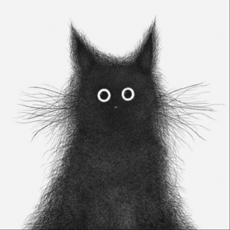 哈哈哈哈哈哈哈-s