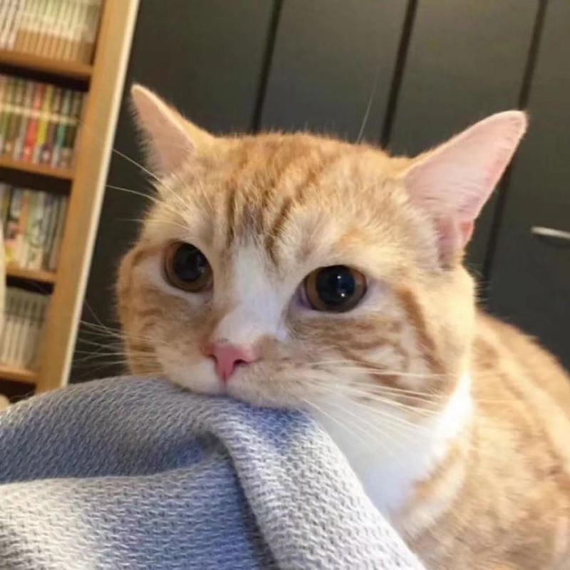 不羁放纵爱自由77