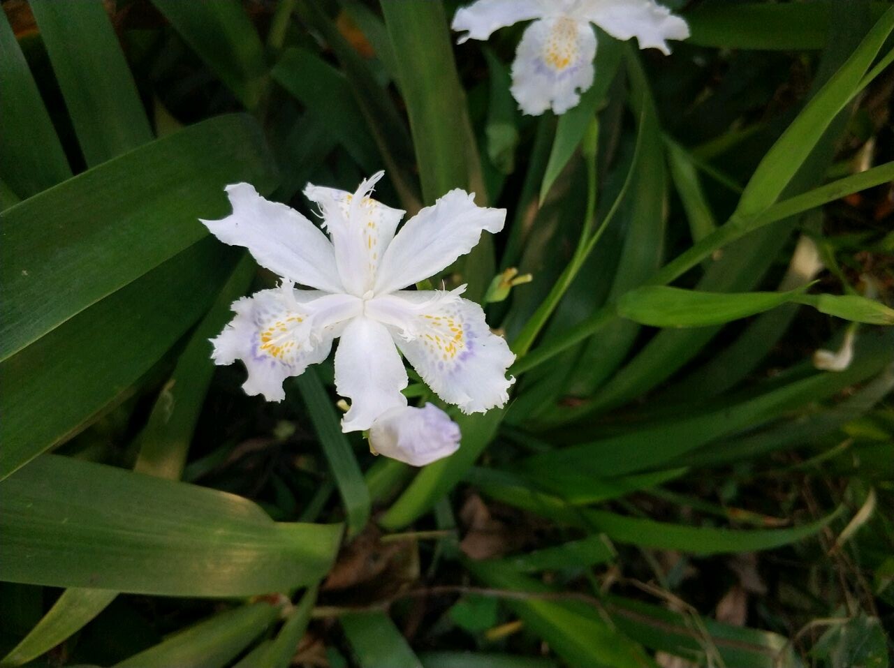 爱打扮(www.idaban.cn)，大蜜同学