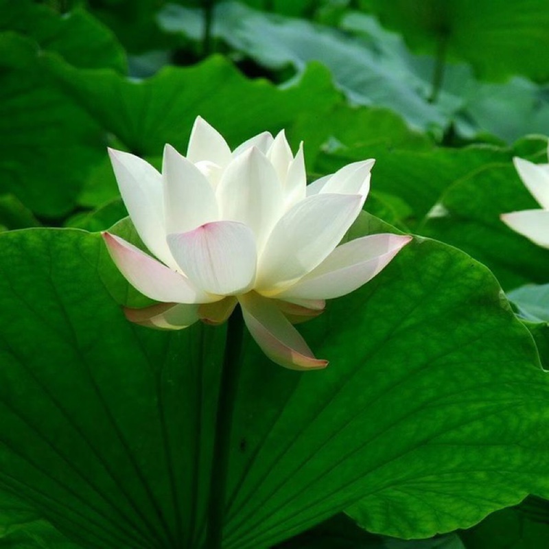 你开心，我满意，