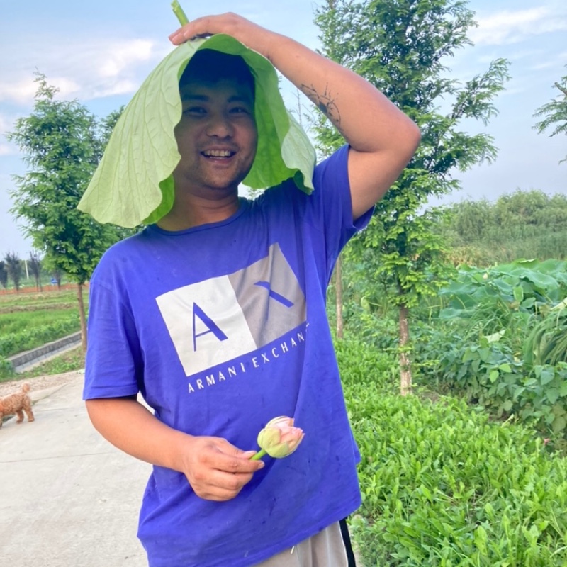 爱吃粗粮米糊的叮当