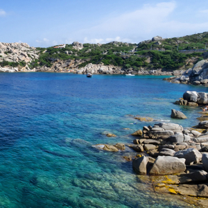 百媚一笑看百态