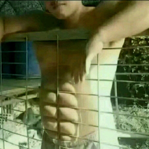 来自北极的泡菜