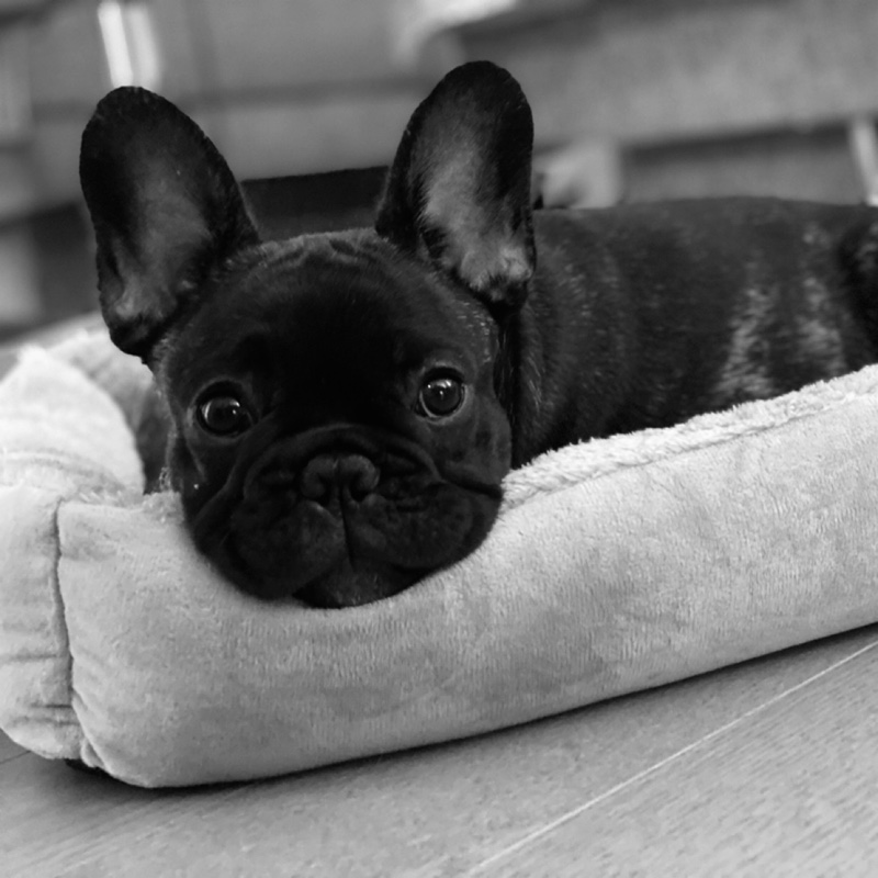 爱购物的派大星=_=#