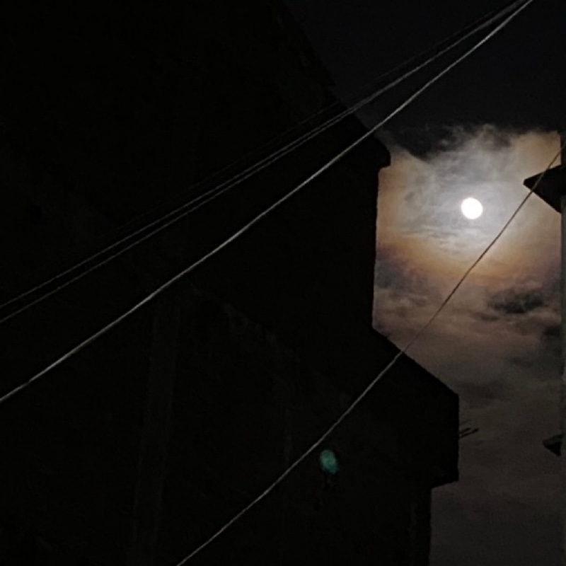 黄心猕猴桃爱学习