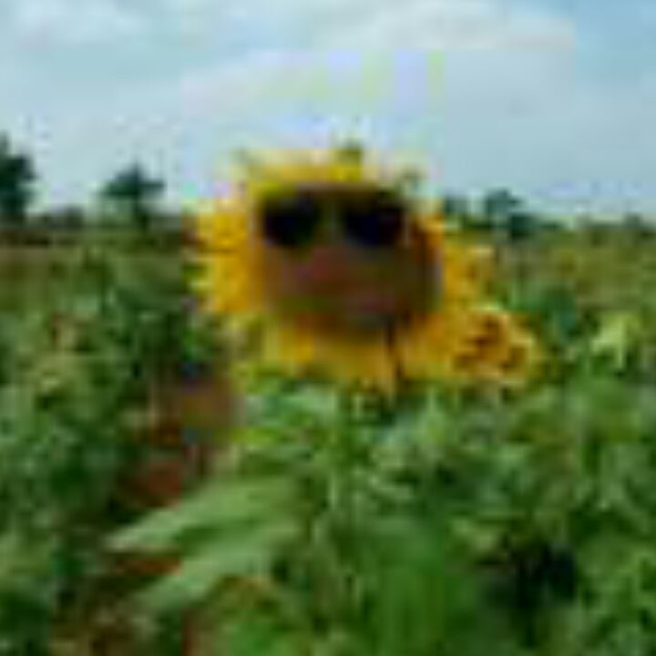 大乡里的前卫人士