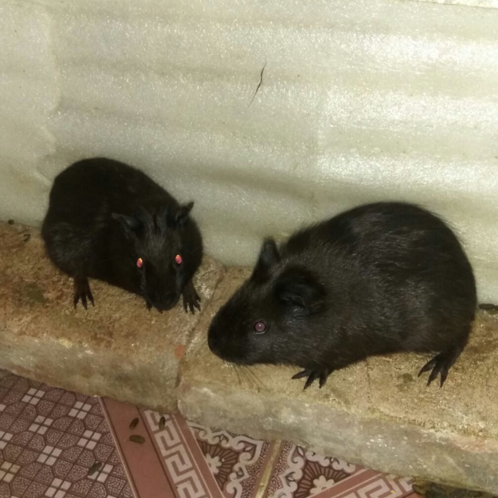 将就过，不麻烦