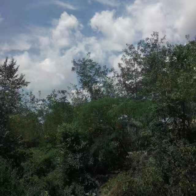 小毛豆的快乐时光