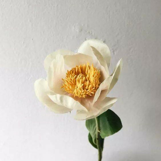 火爆男仁家的小閙鍾