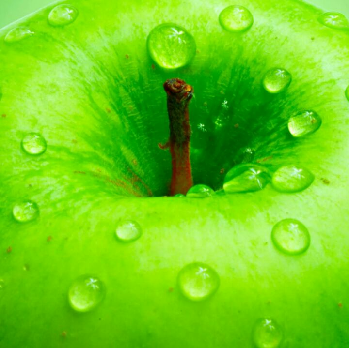 星空下的小草！